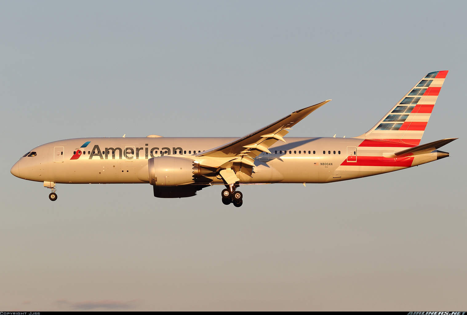 A year in the life of an American Airlines Dreamliner (N800AN)